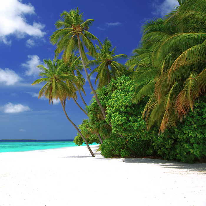Malediven, Reiseziele, Strandaufenthalt