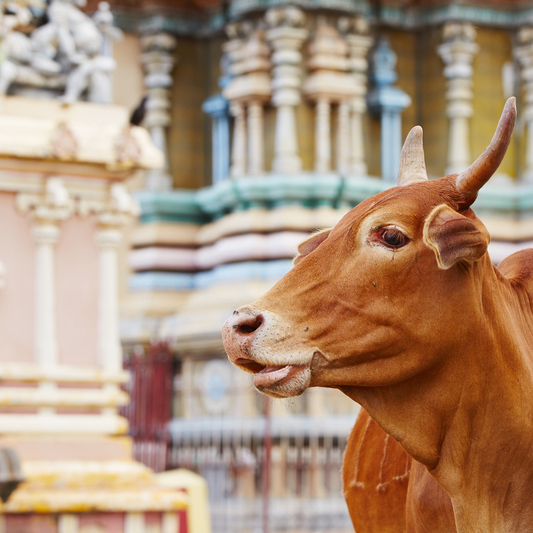 Temple, Jaffna, Sri Lanka
