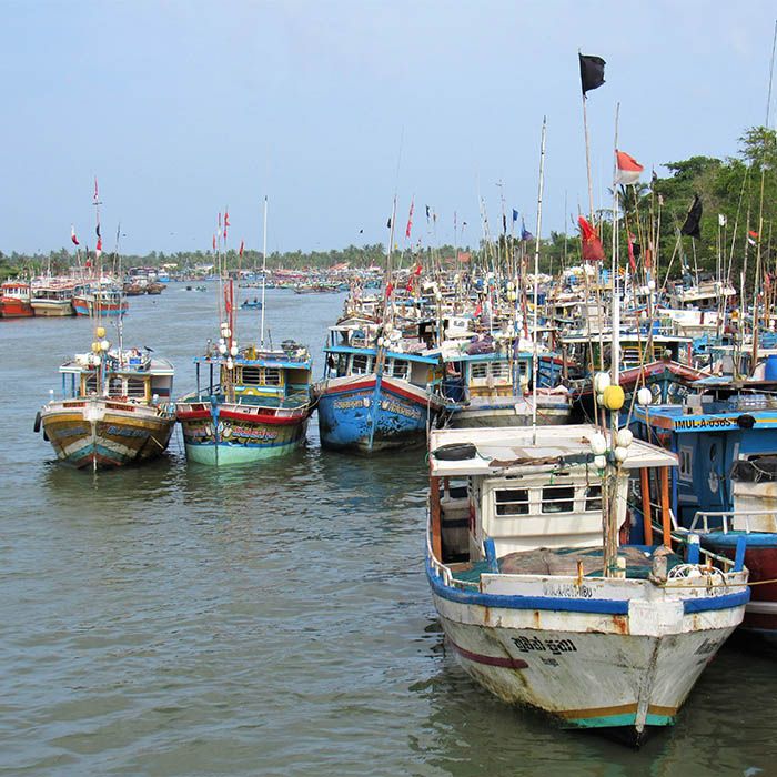 Boats, Negombo, Sri Lanka