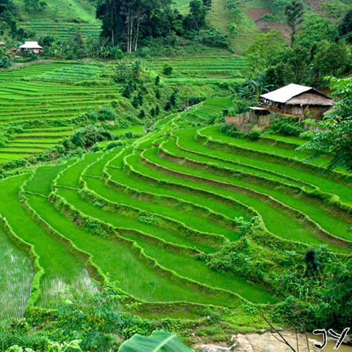 Pu Luong Valley, Vietnam